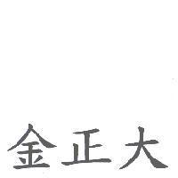 金正大