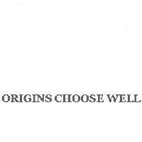 ORIGINS CHOOSE WELL