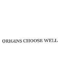 ORIGINS CHOOSE WELL