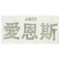 愛恩斯 ANES