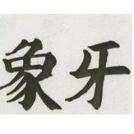 象牙