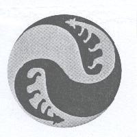 狐仙太極