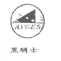 黑騎士及圖