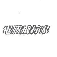 電腦飛行家