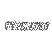 電腦飛行家