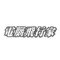 電腦飛行家