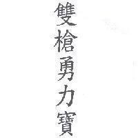 雙槍勇力寶