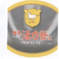 白馬活力發 Bai Ma Huo Li Fa 及圖