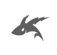 飛魚圖