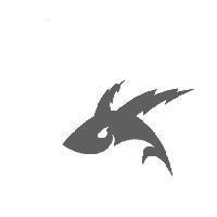 飛魚圖