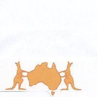 袋鼠圖