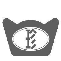 珍及圖