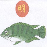 明及圖片