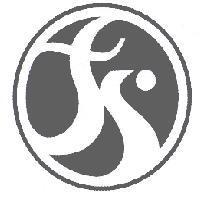 鋒榮科技標章圖