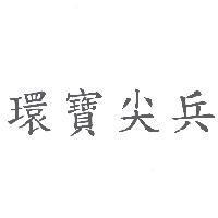 環寶尖兵