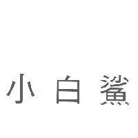 小白鯊