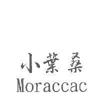 小葉桑 Moraccac