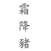 霜降豬