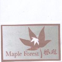 楓林 MAPLE FOREST 及圖