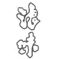浪味