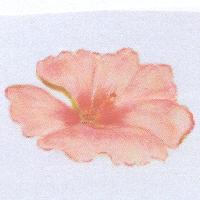芙蓉花圖