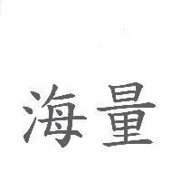 海量