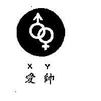 愛帥及圖 XY 
