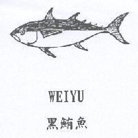 黑鮪魚 WEIYU 及圖