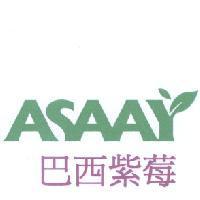 ASAAY 巴西紫莓及圖