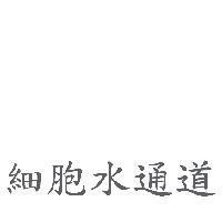 細胞水通道
