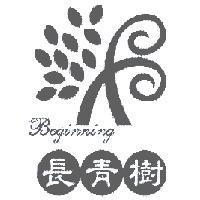 長青樹 Beginning 及圖