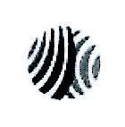 Circle with Nine Bands Design