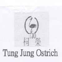 桐榮 Tung Jung Ostrich TJO 及圖