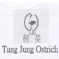 桐榮 Tung Jung Ostrich TJO 及圖