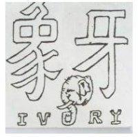 象牙