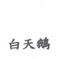 白天鵝