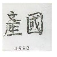 國產 4560