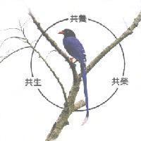 共生 共養 共榮及錠嵂藍鵲圖
