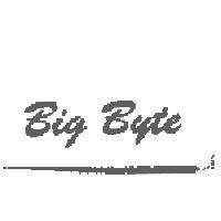 Big Byte