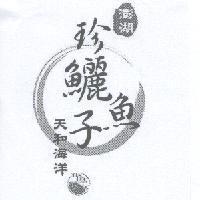 天和海洋、 TAN HOU AQUACULTURE 、澎湖、珍鱺魚子及設計圖