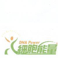 細胞能量及圖 DNA POWER
