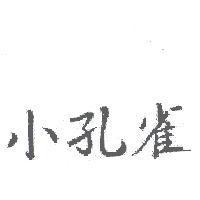 小孔雀