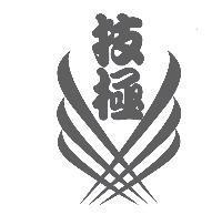 技極及圖