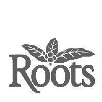 Roots & 葉圖形