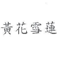 黃花雪蓮