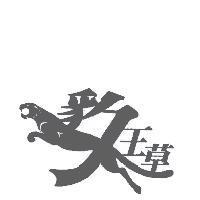 豹王草設計圖