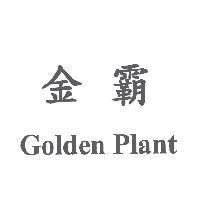 金霸 Golden Plant