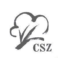 CSZ 及圖