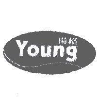 揚格 Young 及圖
