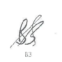 B3 & Logo